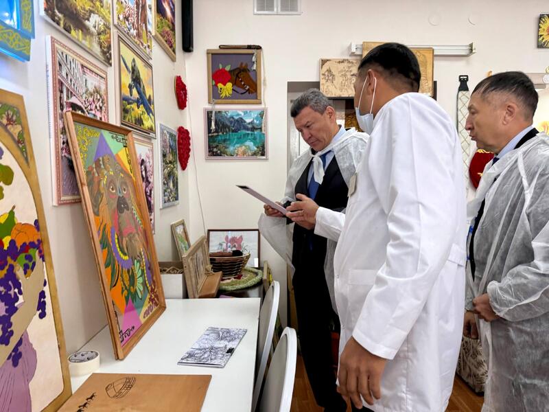 Аким области с рабочей поездкой посетил Жамбылский район