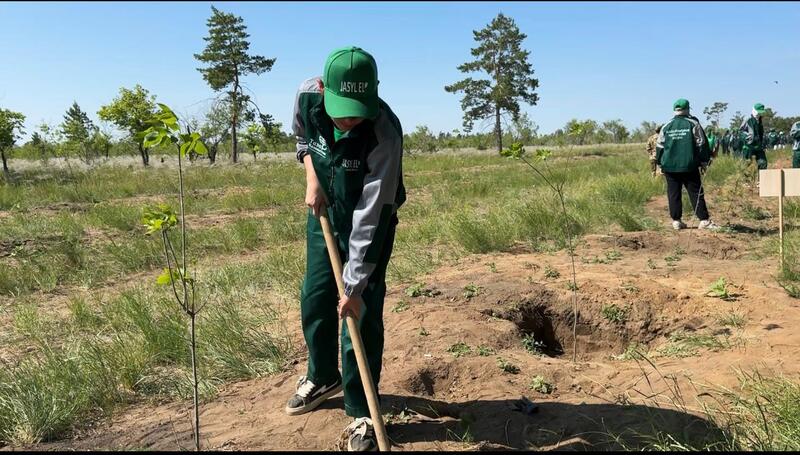 Экологическое воспитание: забота о природе – в руках молодёжи