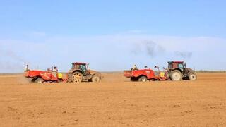Развитие сельского хозяйства: в Карагандинской области растёт число проектов в АПК
