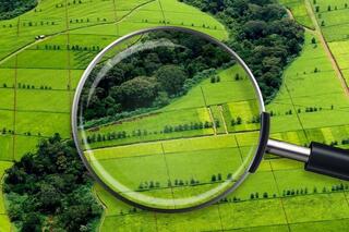 ИЗВЕЩЕНИЕ о проведении конкурса по предоставлению права временного возмездного землепользования (аренды) для ведения крестьянского или фермерского хозяйства, сельскохозяйственного производства в Абайском районе Карагандинской области