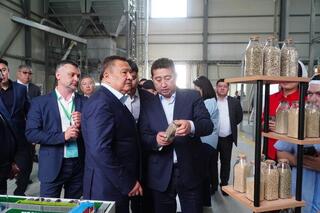 Айдарбек Сапаров ознакомился с ходом посевной кампании в Акмолинской области