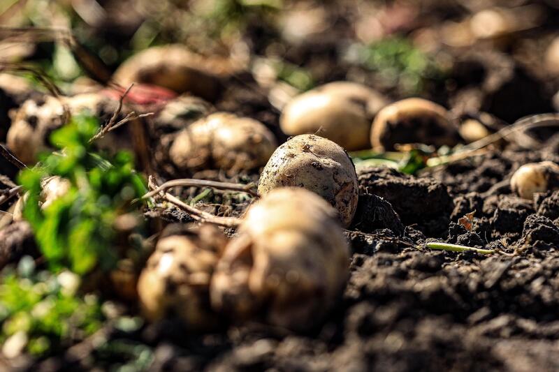 В Каргалинском районе внедряют современные технологии в сельском хозяйстве