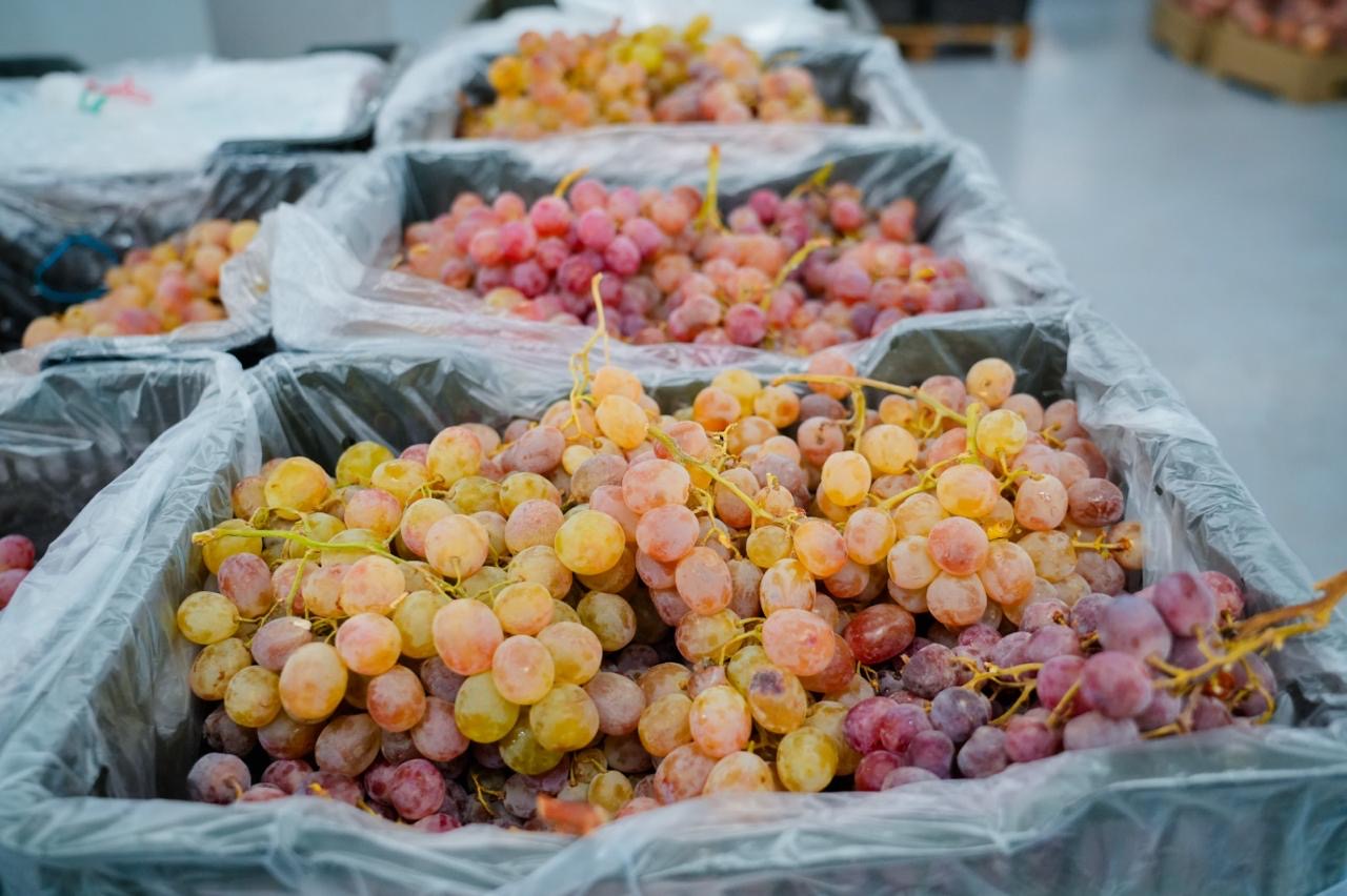 В столице продолжается очередная сельскохозяйственная ярмарка