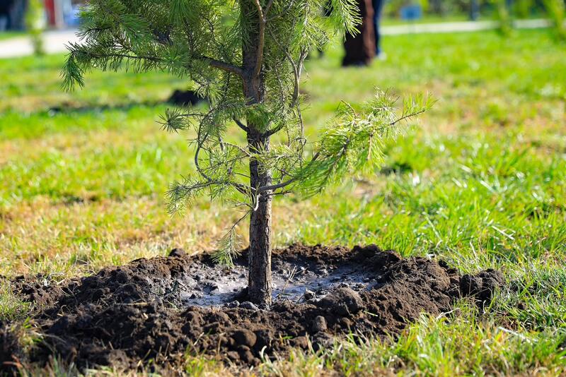 Тысячи жителей Актобе приняли участие в акции World Cleanup Day