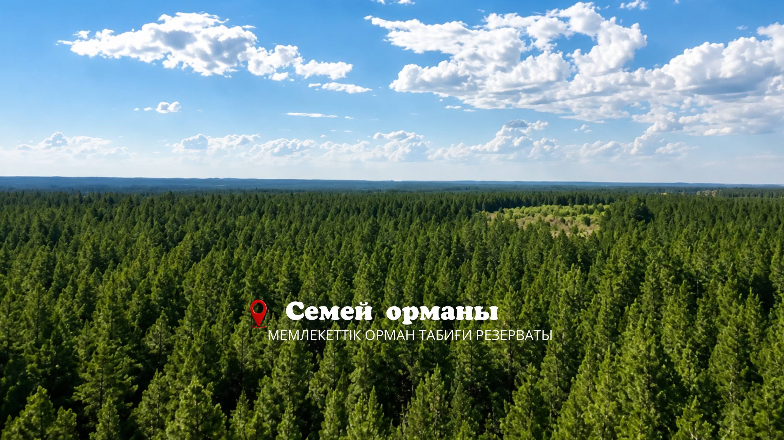 «Семей орманы» — зелёное богатство Прииртышья