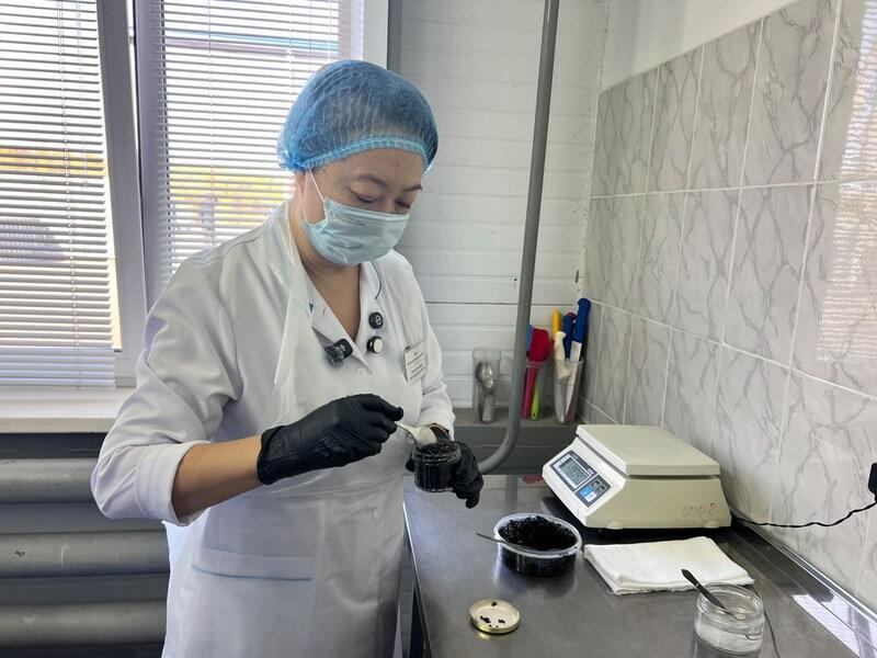 От малька до чёрной икры: как выращивают осетровых в Карагандинской области