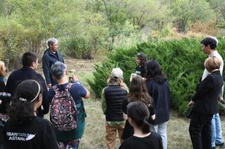 В Астане подростки провели исследование на территории дендропарка и выявили более 200 видов растений и животных