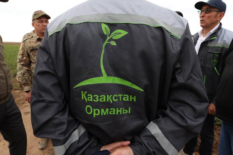 В Акмолинской области обсудили развитие современных лесных питомников