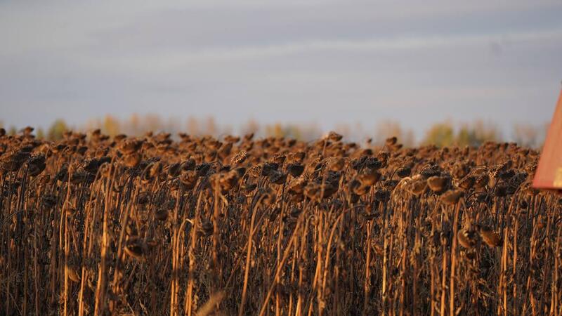 Министр сельского хозяйства и аким ВКО посетили Глубоковский и Шемонаихинский районы