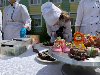 Экология и будущая профессия: фестиваль-выставку с представлением зеленых инициатив провели в Астане