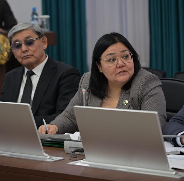 Сегодня в акимате области рассмотрели вопросы благоустройства и санитарной очистки населенных пунктов