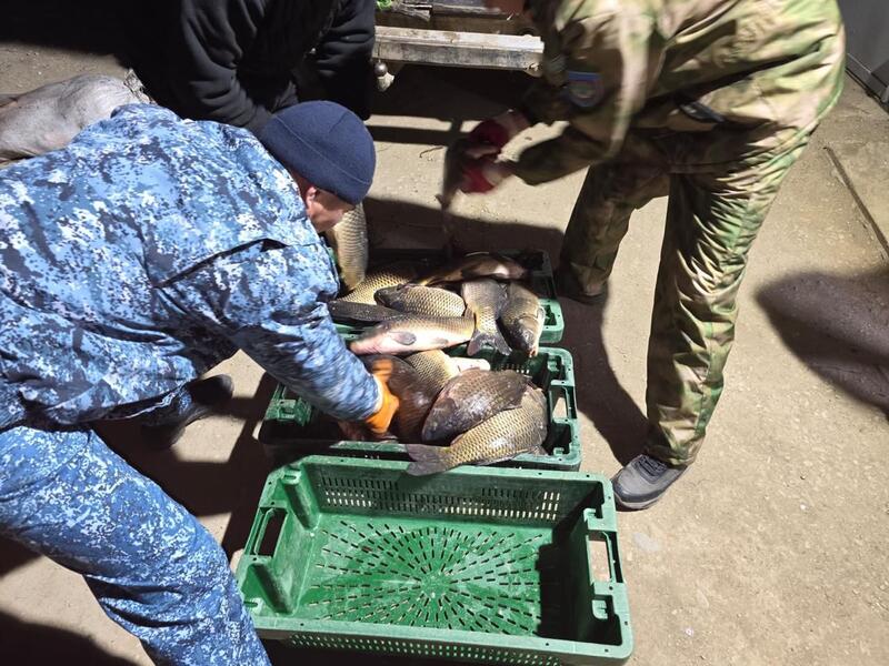 В ВКО подвели итоги республиканского оперативно-профилактического мероприятия «Нерест»