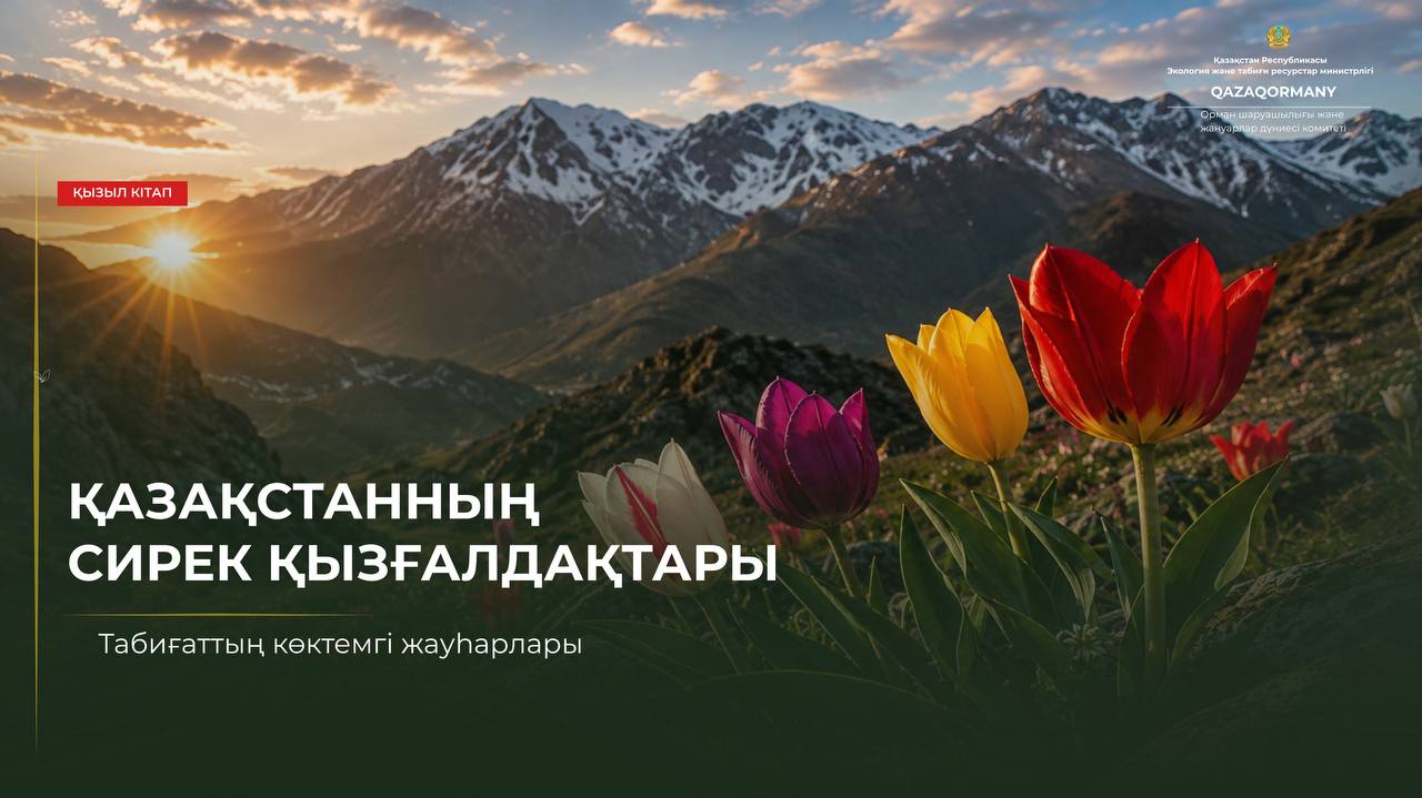 За каждым цветком — целая история природы