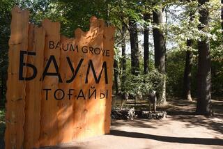 Благоустройство рощи Баума: особое внимание уделяется соблюдению природоохранных требований и сохранению здоровых деревьев