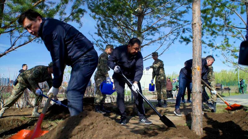 Сосны, яблони, груши: в районе Байконыр появится новый зелёный лес