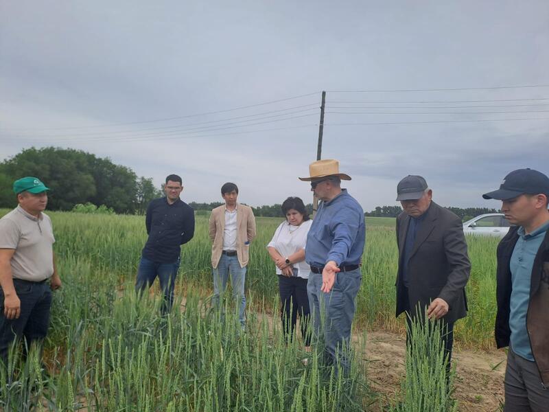 КазНИИЗиР и ПРООН объединяют усилия в борьбе с деградацией земель