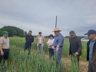 КазНИИЗиР и ПРООН объединяют усилия в борьбе с деградацией земель