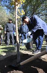 Аким города поддержал инициативу «Таза Қазақстан» посадкой деревьев в парке «Достык»