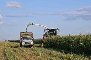 В области Абай начались весенние полевые работы