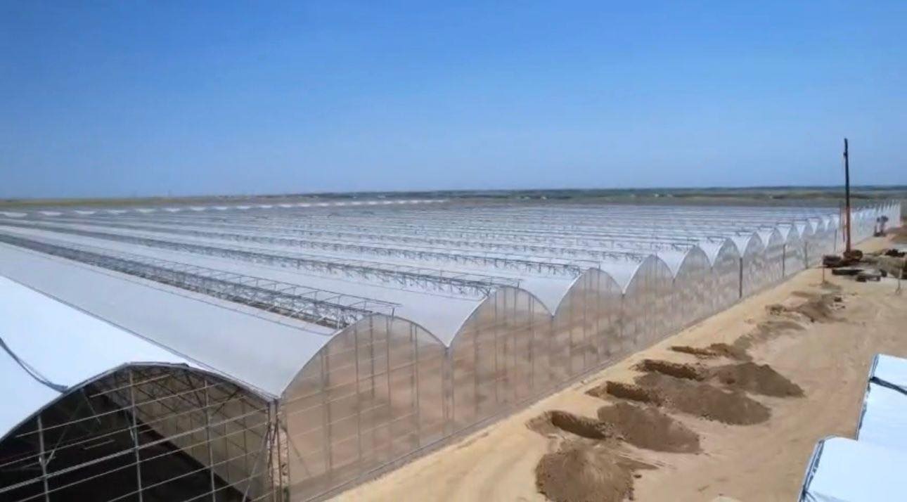 В ТУРКЕСТАНСКОЙ ОБЛАСТИ ЗАПУСТЯТ КРУПНЕЙШИЙ В СТРАНЕ ПРОМЫШЛЕННЫЙ ТЕПЛИЧНЫЙ КОМПЛЕКС