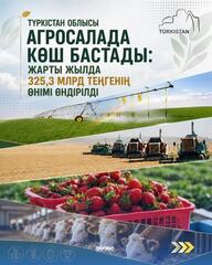 ТУРКЕСТАНСКАЯ ОБЛАСТЬ ЛИДИРУЕТ В АГРОСЕКТОРЕ: ЗА ПОЛГОДА ПРОИЗВЕДЕНО ПРОДУКЦИИ НА 325,3 МЛРД ТЕНГЕ