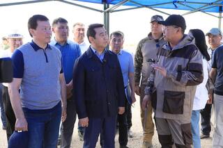 Борьба с саранчой: 850 специалистов мониторят обстановку в Актюбинской области