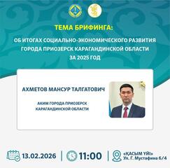 Брифинг акима города