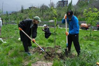 Чистота под контролем: в Наурызбайском районе установили 40 камер на мусорных площадках