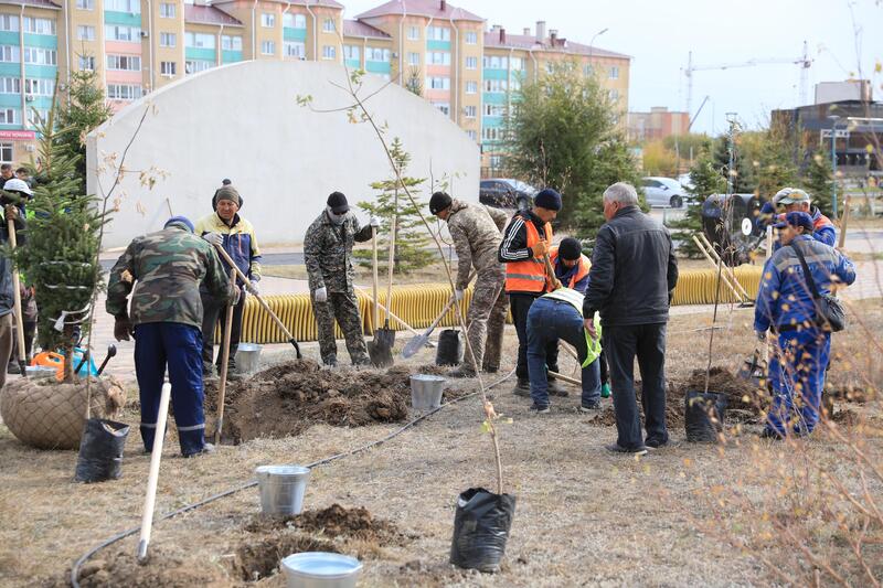 В рамках акции «Таза Казахстан» в Актюбинской области было высажено около 7300 саженцев