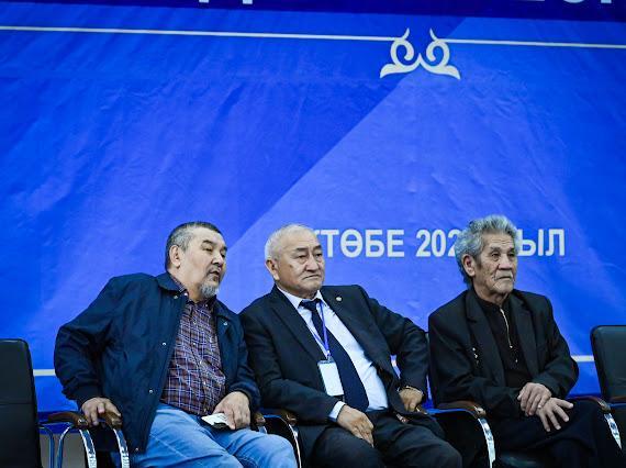 V летние сельские юношеские игры: определены по греко-римской борьбе