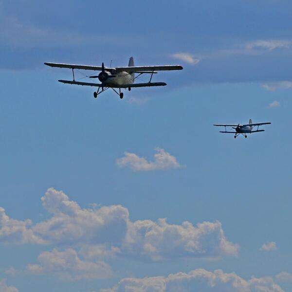 Авиация на старте: в Павлодарской области начнется масштабная обработка против гнуса
