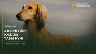 3 сентября — день казахского тазы