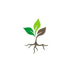 В Центре активного долголетия вместе с нашими прекрасными участницами мы с удовольствием окунулись в атмосферу настоящей весны