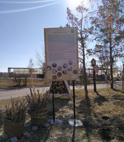 Экопроект: в Карагандинском университете имени Е. А. Букетова открыли «гостиницу» для полезных насекомых