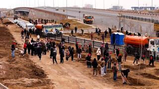 В столичном районе Сарайшык высажено 500 деревьев