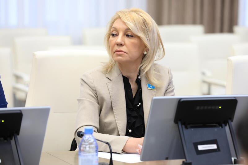 Аким региона обсудил с сенаторами развитие экономики и бюджетный потенциал