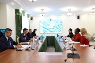 О. Анафин обсудил с представителем ЮНФПА Ч. Огбонна вопросы сотрудничества