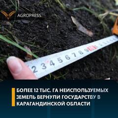 Более 12 тыс. га неиспользуемых земель вернули государству в Карагандинской области