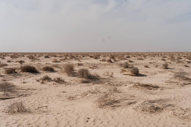 Исследования и озеленение: в Атырау разрабатывают меры по борьбе с пыльными бурями