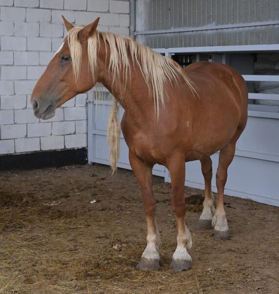 Аким области Асаин Байханов посетил с рабочей поездкой Щербактинский район