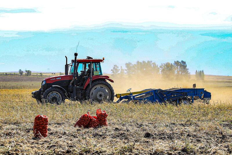 В Каргалинском районе внедряют современные технологии в сельском хозяйстве