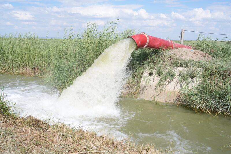 Заместитель Премьер-министра ознакомился с работой фермерского хозяйства «Мағжан и К»