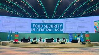 Центральная Азия консолидирует усилия для продовольственной устойчивости