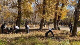 «Таза Қазақстан»: В Караганде волонтёры помогли привести в порядок Центральный парк  