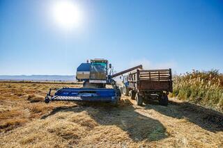 «Кең дала 2»: фермерлерді қаржыландыру басталды, алғашқы өтінімдер мақұлданды