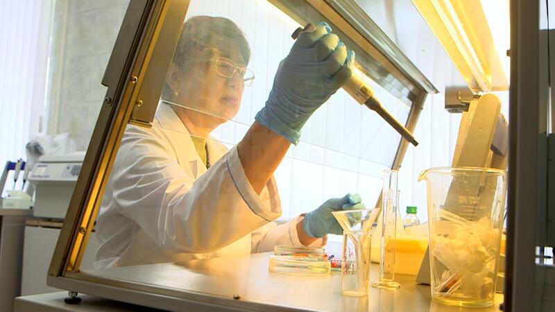 Новый молочный продукт на основе фитоингредиентов создадут ученые Margulan University