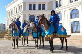 Аксакалы Мангистау выразили благодарность Президенту Казахстана за поддержку в укреплении статуса казахской лошади адайской породы