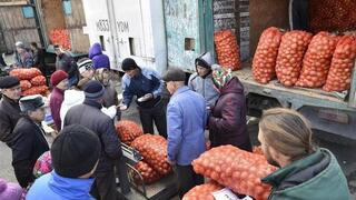 «Дала дәмі»: в Карагандинской области стартует сезон осенних сельхозярмарок