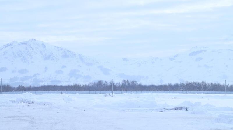В ВКО состоялось открытие новой молочно-товарной фермы на 1075 голов