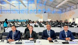 Казахстан призвал мировое сообщество поддержать инициативу «Зеленый щит Центральной Азии» на COP17